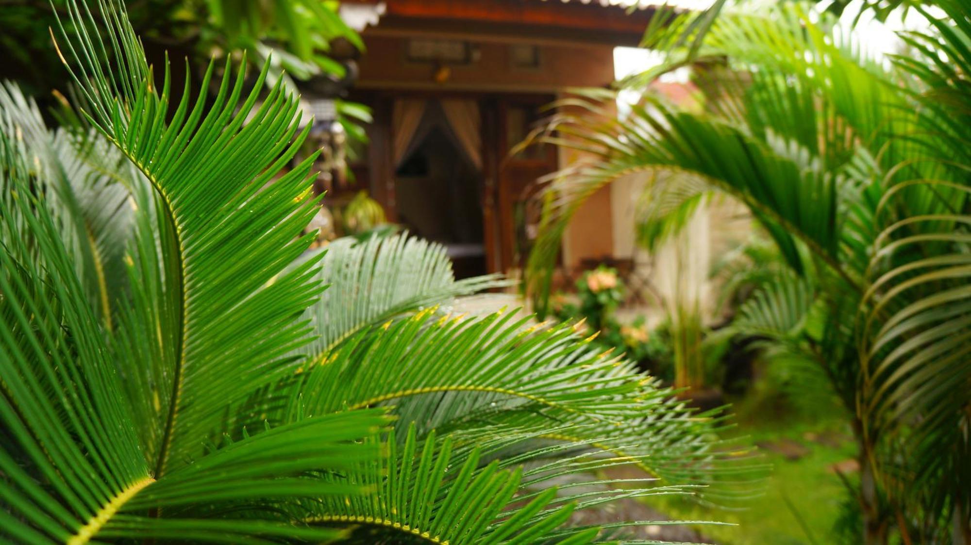 Rumahku Homestay Amed  Exterior photo